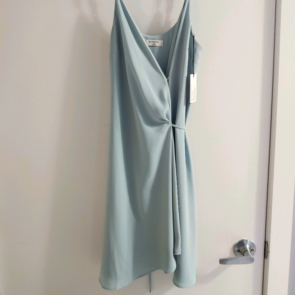 Aritzia Babaton Wallace Dress